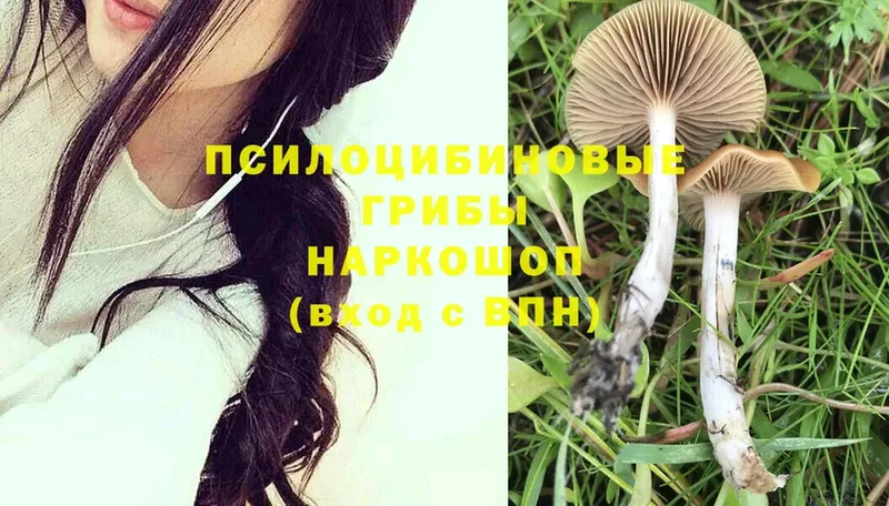 где найти   мега вход  Галлюциногенные грибы MAGIC MUSHROOMS  Нижнекамск 